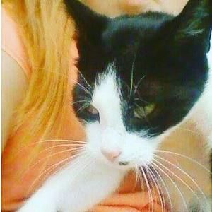 Meet your Posher, Emma